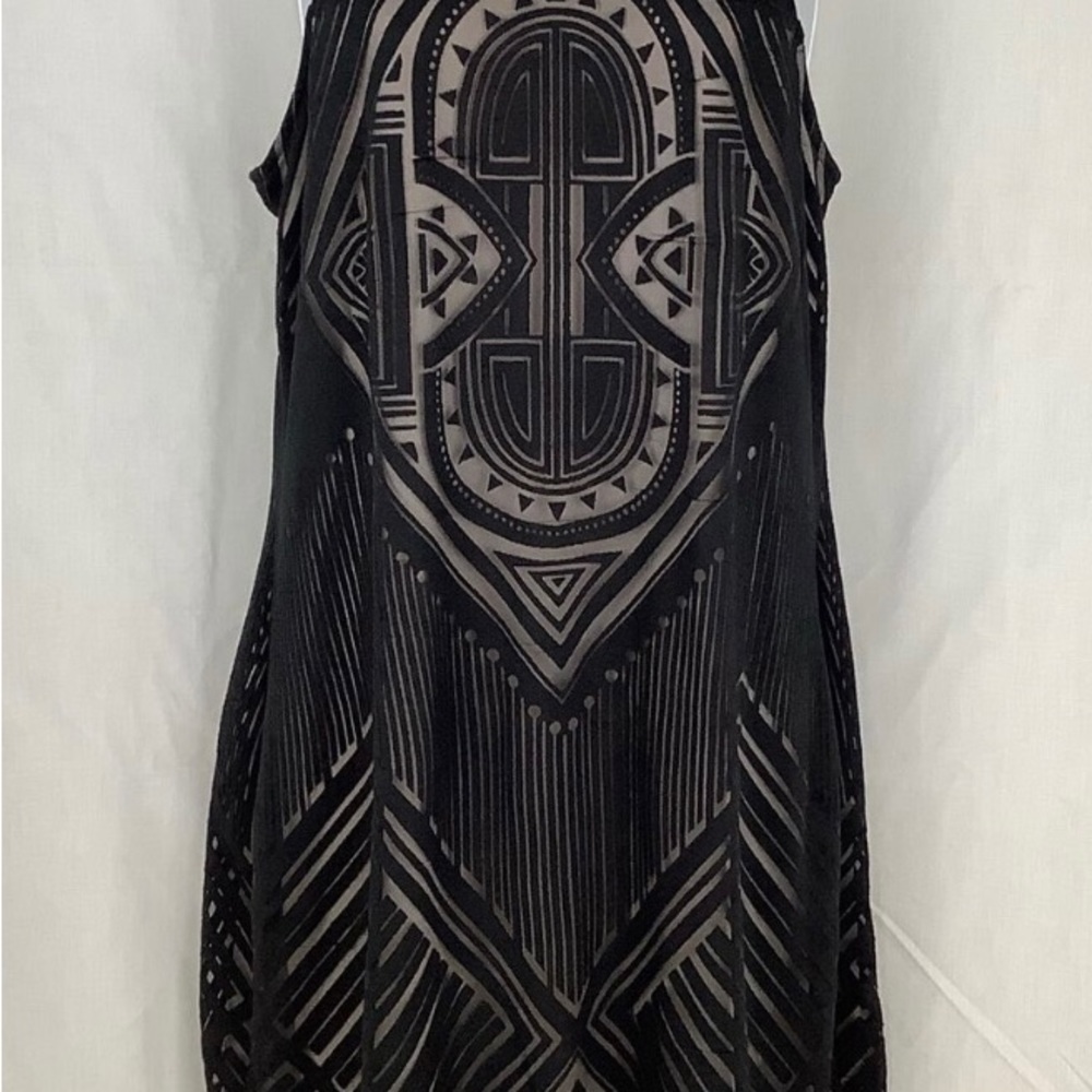 Bold Elements Black/sheer dress.